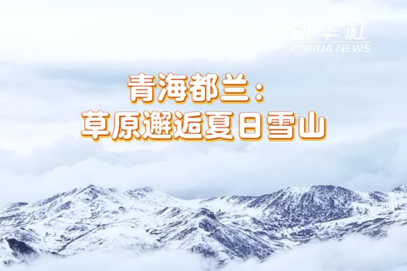 青海都蘭：草原邂逅夏日雪山