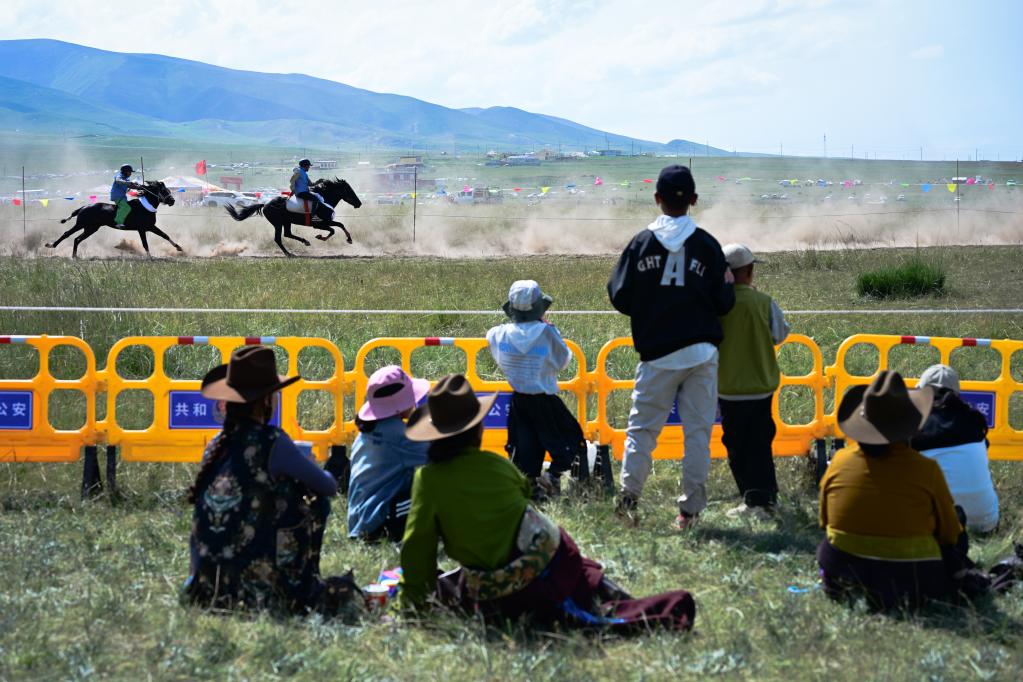 青海湖畔的草原盛會