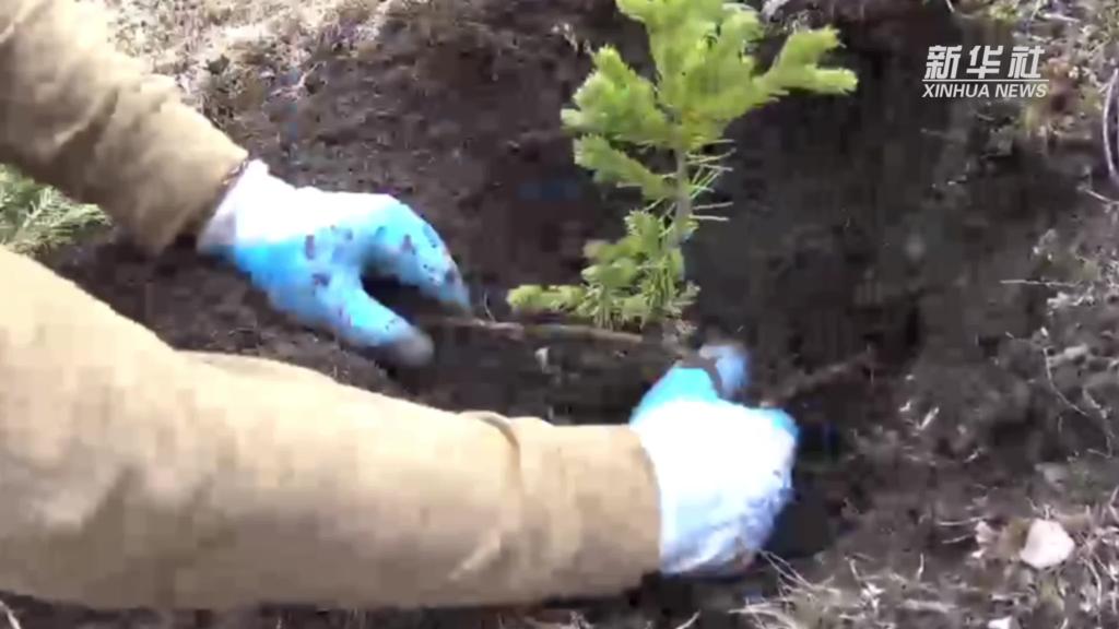 青?，斂珊恿謪^：加強生態保護，創新綠色發展新路徑